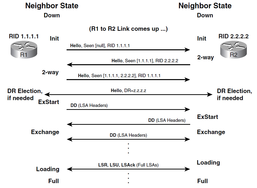 Establishing OSPF neighborship