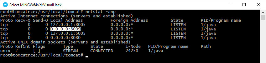По дефолту Tomcat слушает AJP-порт на всех адресах IPv4