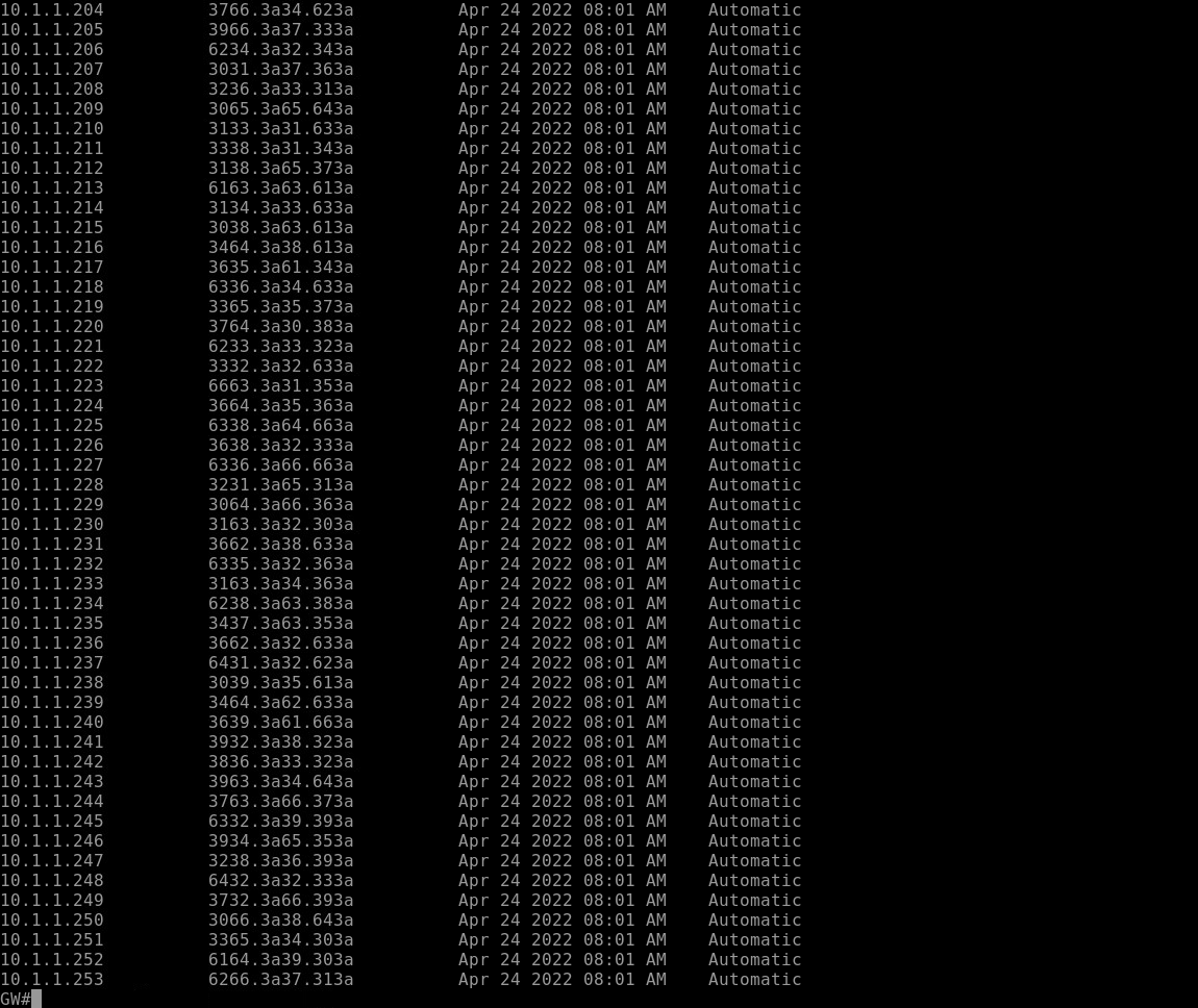 Overflowing address space of the DHCP server. Part 2