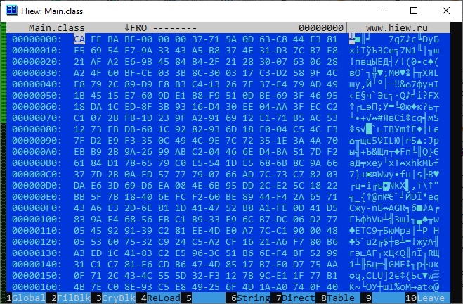 Вид зашифрованного файла Main.class в HEX-редакторе