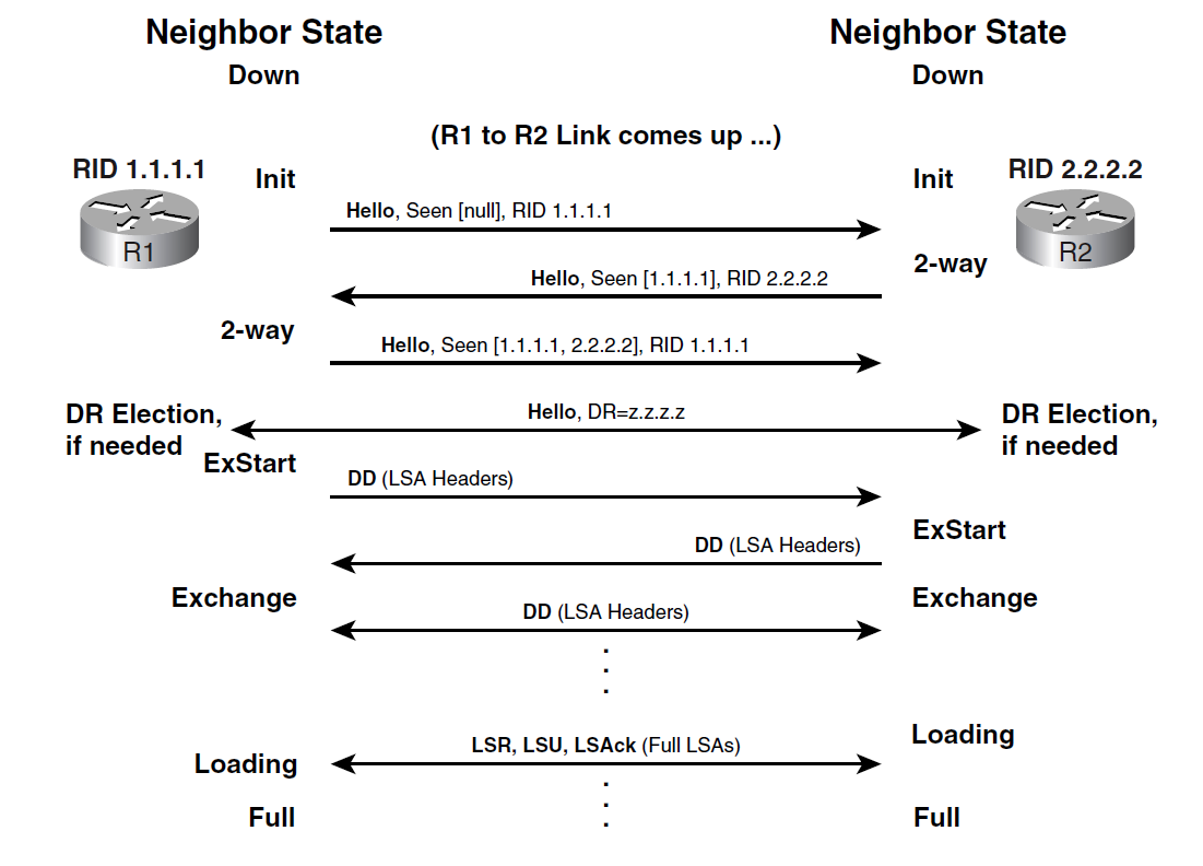 Установление соседства в OSPF