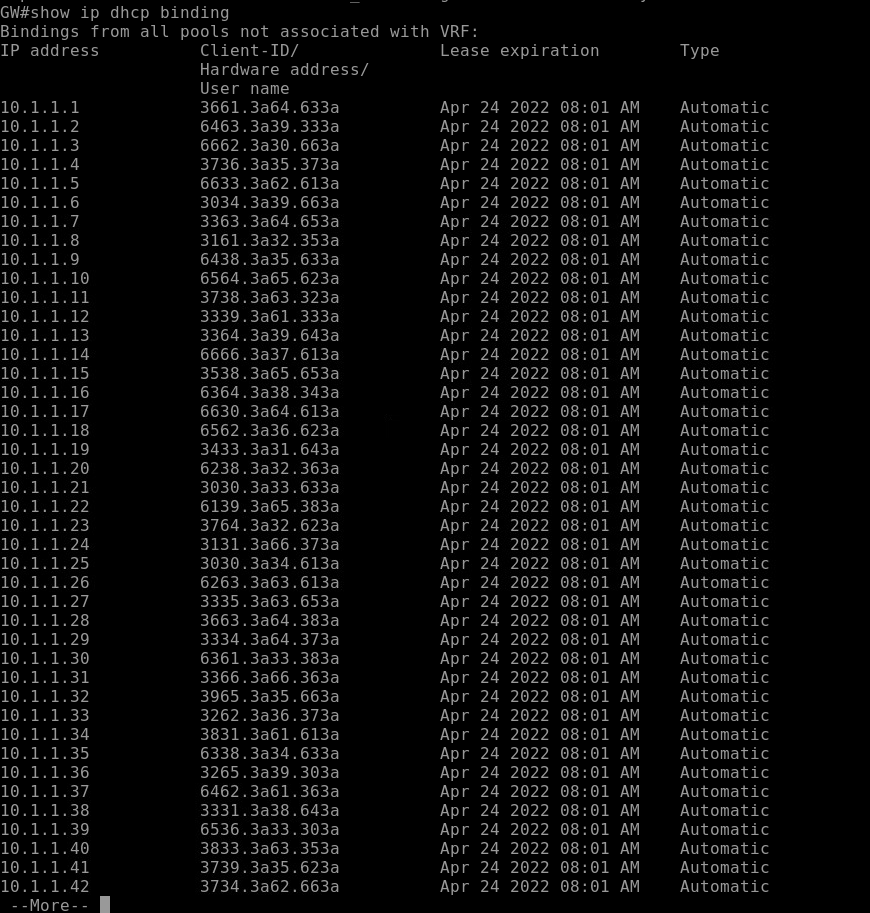 Overflowing address space of the DHCP server. Part 1